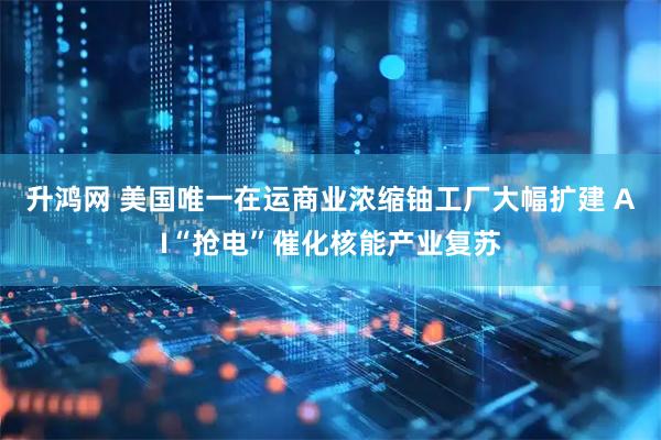 升鸿网 美国唯一在运商业浓缩铀工厂大幅扩建 AI“抢电”催化核能产业复苏