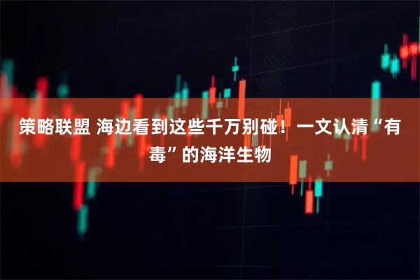 策略联盟 海边看到这些千万别碰！一文认清“有毒”的海洋生物